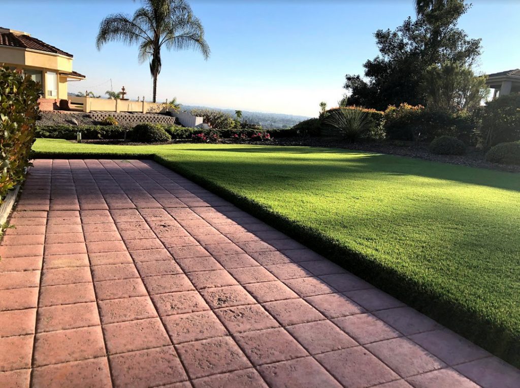turf edge Products